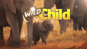 Wild Child S04E12 1080p WEB h264-DiRT EZTV