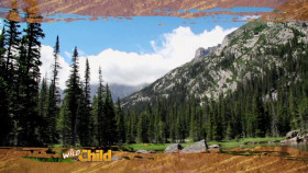 Wild Child S04E14 XviD-AFG EZTV