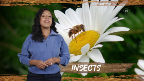 Wild Child S04E19 720p WEB h264-DiRT EZTV