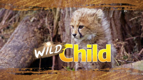 Wild Child S05E06 1080p WEB h264-DiRT EZTV