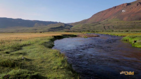 Wild Child S05E08 720p WEB h264-DiRT EZTV