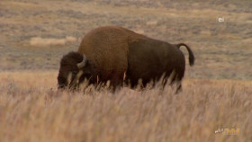 Wild Child S05E10 1080p WEB h264-DiRT EZTV