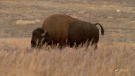 Wild Child S05E10 720p WEB h264-DiRT EZTV