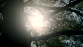 Wild Crime S02 1080p HULU WEBRip DDP5 1 x264-KOGi EZTV