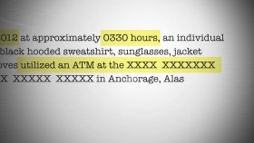 Wild Crime S04E01 1080p WEB h264-EDITH EZTV