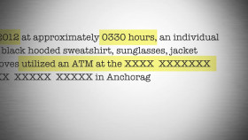 Wild Crime S04E01 720p WEB H264-SKYFiRE EZTV