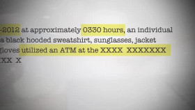 Wild Crime S04E01 XviD-AFG EZTV