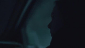 Wild Crime S04E02 XviD-AFG EZTV