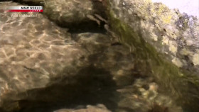 Wild Hokkaido S04E16 Clear Streams of Sapporo 720p HDTV x264-DARKFLiX EZTV