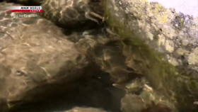 Wild Hokkaido S04E16 Clear Streams of Sapporo XviD-AFG EZTV