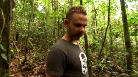Wild Things with Dominic Monaghan S01E06 Army Ants iNTERNAL WEBRip x264-CAFFEiNE EZTV