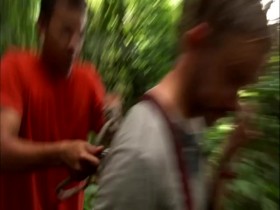 Wild Things with Dominic Monaghan S01E07 Giant Malaysian Honey Bees 480p x264-mSD EZTV