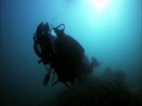 Wild Things with Dominic Monaghan S02E06 Box Jellyfish iNTERNAL 480p x264-mSD EZTV