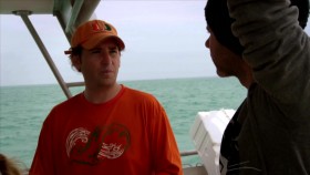 Wild Things with Dominic Monaghan S03E02 Floridas Stealthy Sharks iNTERNAL 720p WEBRip x264 CAFFEiNE eztv