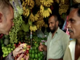 Wild Things with Dominic Monaghan S03E06 Sri Lankas Cunning Cobra 480p x264-mSD EZTV