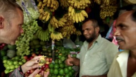 Wild Things with Dominic Monaghan S03E06 Sri Lankas Cunning Cobra 720p WEBRip x264-CAFFEiNE EZTV