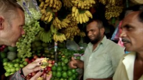 Wild Things with Dominic Monaghan S03E06 Sri Lankas Cunning Cobra WEBRip x264-CAFFEiNE EZTV