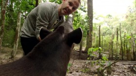 Wild Things with Dominic Monaghan S03E08 Perus Electrifying Amazon WEBRip x264-CAFFEiNE EZTV
