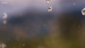 Wild Weather with Richard Hammond S01E02 Water The Shape Shifter 1080p WEBRip x264-CBFM EZTV