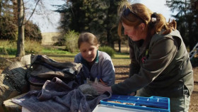 Wild Wonders with Brooke S02E08 1080p HDTV H264-CBFM EZTV