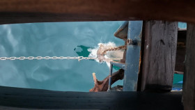 Wilderness With Simon Reeve S01E03 1080p WEB H264-CBFM EZTV