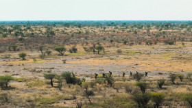 Wilderness With Simon Reeve S01E04 1080p WEB H264-CBFM EZTV