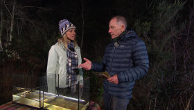 Winterwatch S13E04 1080p HDTV H264-DARKFLiX EZTV
