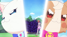 Wonderful Precure S01E22 1080p HEVC x265-MeGusta EZTV