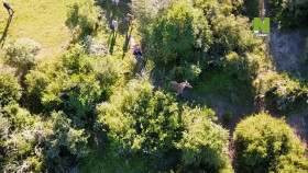 Work On The Wild Side S01E01 1080p HDTV H264-CBFM EZTV