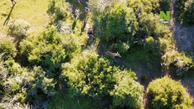 Work On The Wild Side S01E01 XviD-AFG EZTV