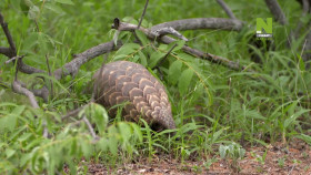 Work On The Wild Side S01E07 1080p HDTV H264-CBFM EZTV