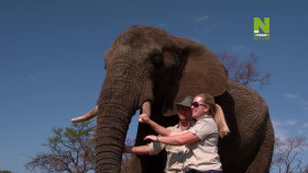 Work On The Wild Side S01E14 1080p HDTV H264-CBFM EZTV