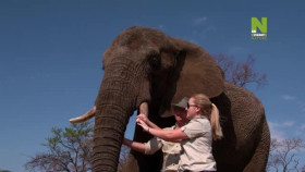 Work On The Wild Side S01E14 XviD-AFG EZTV