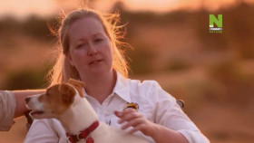 Work On The Wild Side S01E15 XviD-AFG EZTV