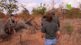 Work On The Wild Side S01E16 1080p HDTV H264-CBFM EZTV