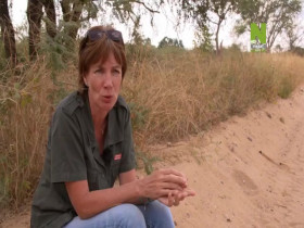 Work On The Wild Side S01E16 480p x264-mSD EZTV
