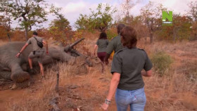 Work On The Wild Side S01E16 XviD-AFG EZTV