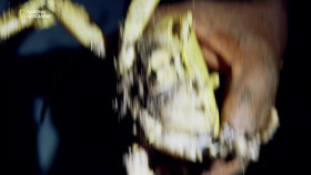 World Of Flavor With Big Moe Cason S01E01 1080p HDTV H264-CBFM EZTV