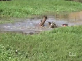 Worlds Funniest Animals S01E14 480p x264-mSD EZTV