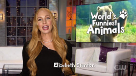 Worlds Funniest Animals S02E04 1080p WEB h264-WEBTUBE EZTV