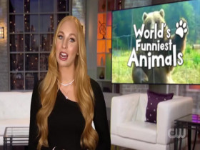 Worlds Funniest Animals S02E04 480p x264-mSD EZTV