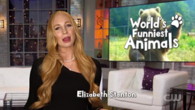 Worlds Funniest Animals S02E04 XviD-AFG EZTV
