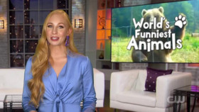 Worlds Funniest Animals S02E05 XviD-AFG EZTV