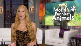 Worlds Funniest Animals S02E08 1080p WEB h264-DiRT EZTV