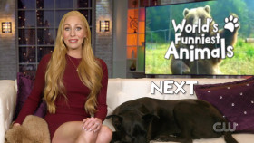 Worlds Funniest Animals S02E09 1080p WEB h264-KOMPOST EZTV