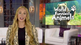 Worlds Funniest Animals S03E01 XviD-AFG EZTV