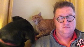 Worlds Funniest Animals S04E10 1080p HEVC x265-MeGusta EZTV