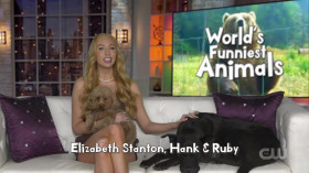 Worlds Funniest Animals S04E12 480p x264-RUBiK EZTV