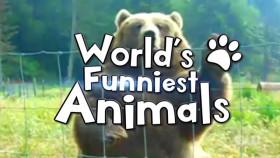 Worlds Funniest Animals S04E12 XviD-AFG EZTV