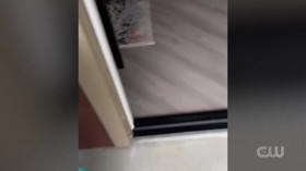 Worlds Funniest Animals S04E18 480p x264-RUBiK EZTV